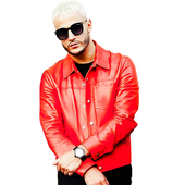 DJSNAKE