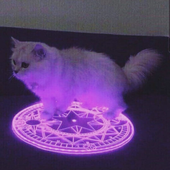 Roachdruid 的头像