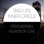 Psycatron Presents Hounds of Love