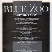 Blue Zoo "Cry Boy Cry"