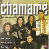 Chamame - Los 100 mejores temas - Vol 4