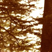 Hiba Al Kawas in \"Lady Light\" - Cedars
