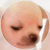Bedelover 的头像
