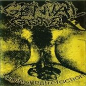 Vaginal Putrefaction