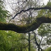 20190518_152959.jpg