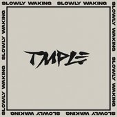 Slowly Waking