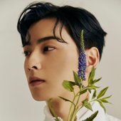 Cha Eunwoo