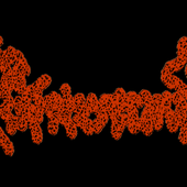 60947240_592451214599032_2540833018008829952_n.png