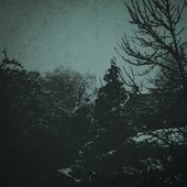 Project Risen Void