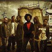 the roots