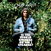 \"Is The World Strange Or Am I Strange?\" Deluxe Album Cover