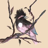 wren.jpg