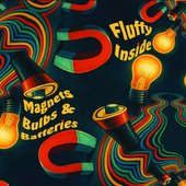 Magnets Bulbs And Batteries