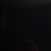 10116760.jpg