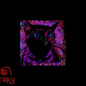 copy