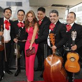 Katemariachi1.jpg