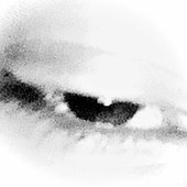 iLOSTMARI eye pfp