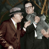 Stravinsky and koala