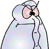 Avatar for Quastenfrosch