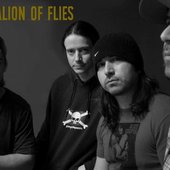 battalion of flies.jpg