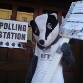 Vote Barry the Badger