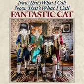 Now That's What I Call Now That's What I Call Fantastic Cat (Deluxe Edition) [Explicit]
