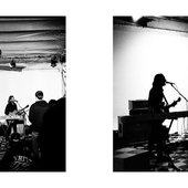 big brown cow @nonplusultrala for @deadmotherscollective march 22nd 2024