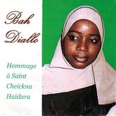 Hommage à Saint Cheickna Haïdara