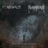 Reaching for Silence