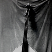 Avatar für singlebass