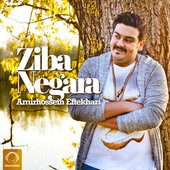 Ziba Negara - Single