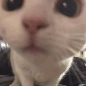 marrrrx 的头像
