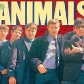 The Animals_76.JPG