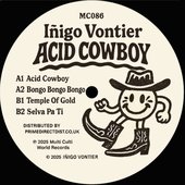 Acid Cowboy
