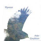 Adar Gwylltion