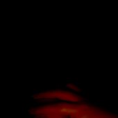 298DC39A-352C-4194-B20B-ECD1E87D8C29.jpeg