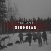 Siberian - LEMMiNO