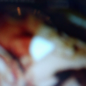 Avatar for xdetergentx