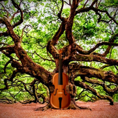 Avatar for OakViolin