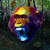 Avatar for BogMunky