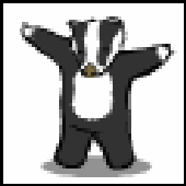 Avatar di barmybadger50