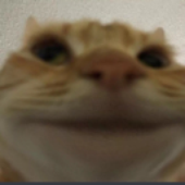 Alpaco_ 的头像