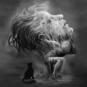 Artificial Illusions
