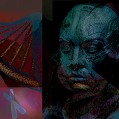 PNG.png