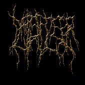 CACA1.gif