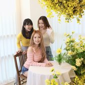 Spring Photoshoot - 2025