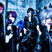 17407-verxina-group-shot.jpg