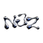 NJZ (엔제이지)