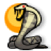 Avatar for salinas678