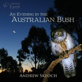 An Evening in the Australian Bush